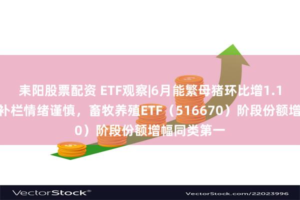 耒阳股票配资 ETF观察|6月能繁母猪环比增1.1%，机构：补栏情绪谨慎，畜牧养殖ETF（516670）阶段份额增幅同类第一