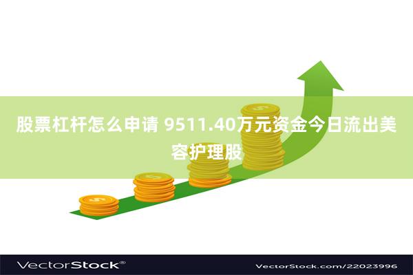 股票杠杆怎么申请 9511.40万元资金今日流出美容护理股