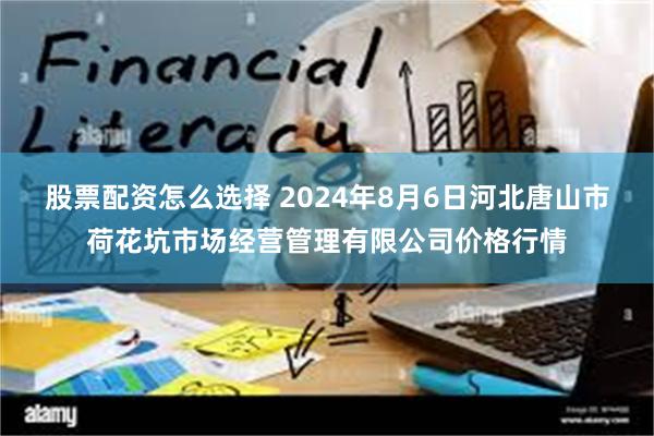 股票配资怎么选择 2024年8月6日河北唐山市荷花坑市场经营管理有限公司价格行情