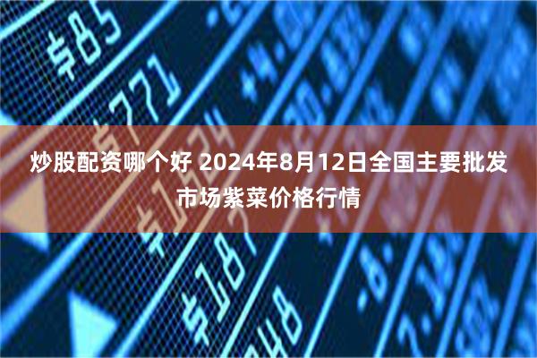 炒股配资哪个好 2024年8月12日全国主要批发市场紫菜价格行情