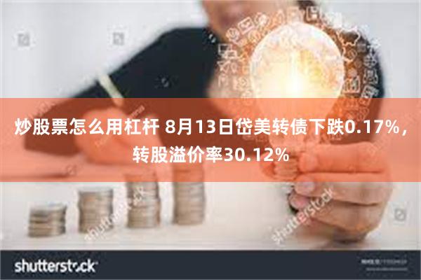 炒股票怎么用杠杆 8月13日岱美转债下跌0.17%，转股溢价率30.12%