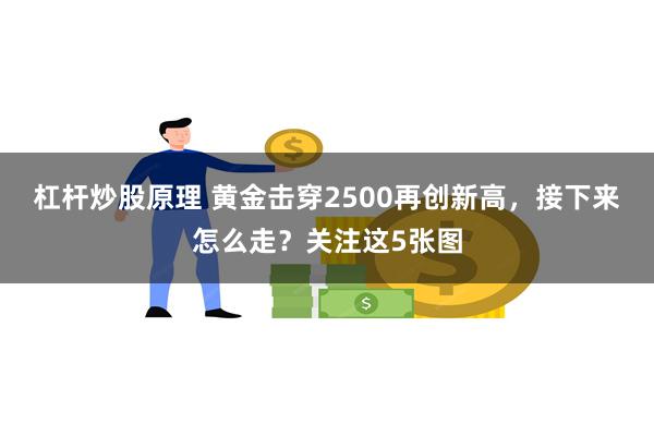 杠杆炒股原理 黄金击穿2500再创新高，接下来怎么走？关注这5张图