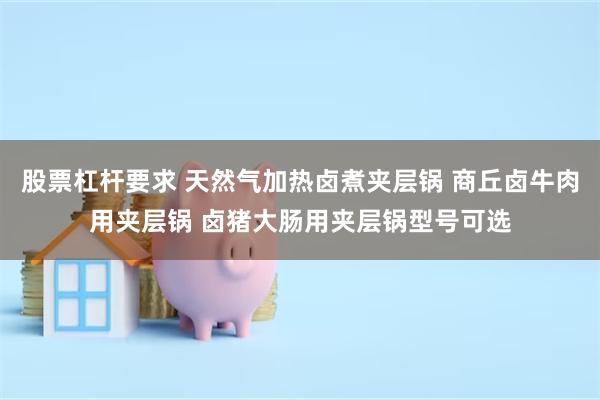 股票杠杆要求 天然气加热卤煮夹层锅 商丘卤牛肉用夹层锅 卤猪大肠用夹层锅型号可选