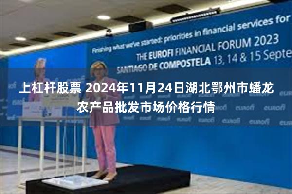 上杠杆股票 2024年11月24日湖北鄂州市蟠龙农产品批发市场价格行情