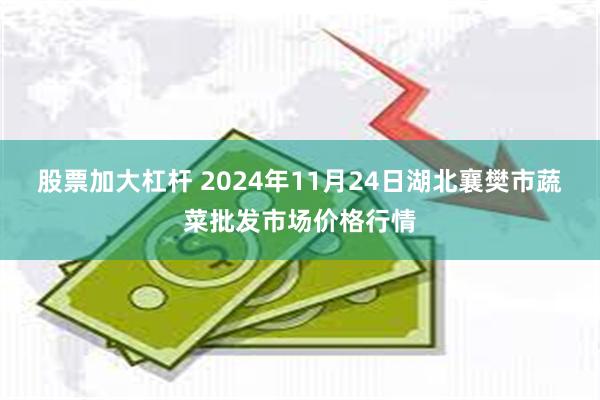 股票加大杠杆 2024年11月24日湖北襄樊市蔬菜批发市场价格行情