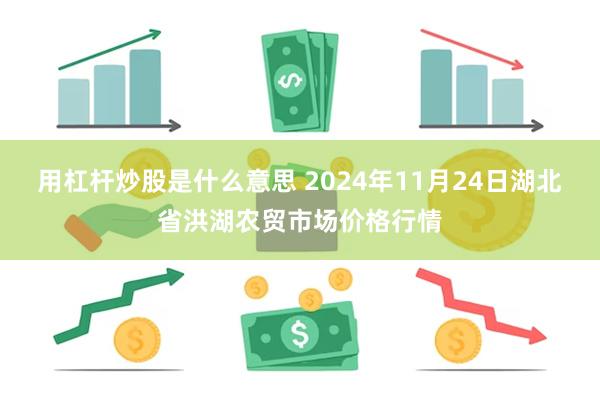 用杠杆炒股是什么意思 2024年11月24日湖北省洪湖农贸市场价格行情