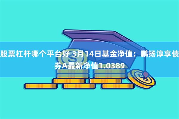 股票杠杆哪个平台好 3月14日基金净值：鹏扬淳享债券A最新净值1.0389